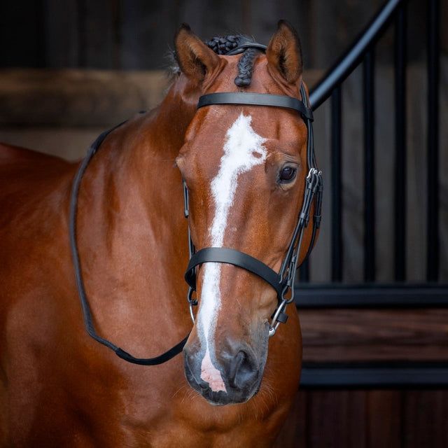 Shires Velociti RAPIDA Hunter Cavesson Bridle #colour_black