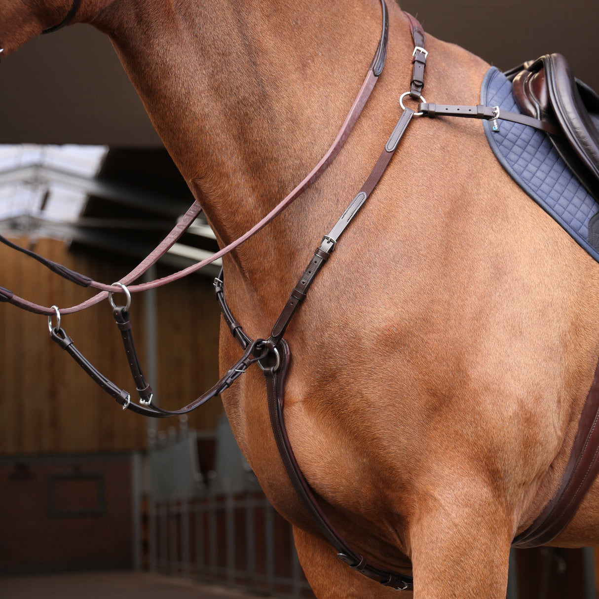 Shires Velociti Rapida Elastic Breastplate #colour_brown