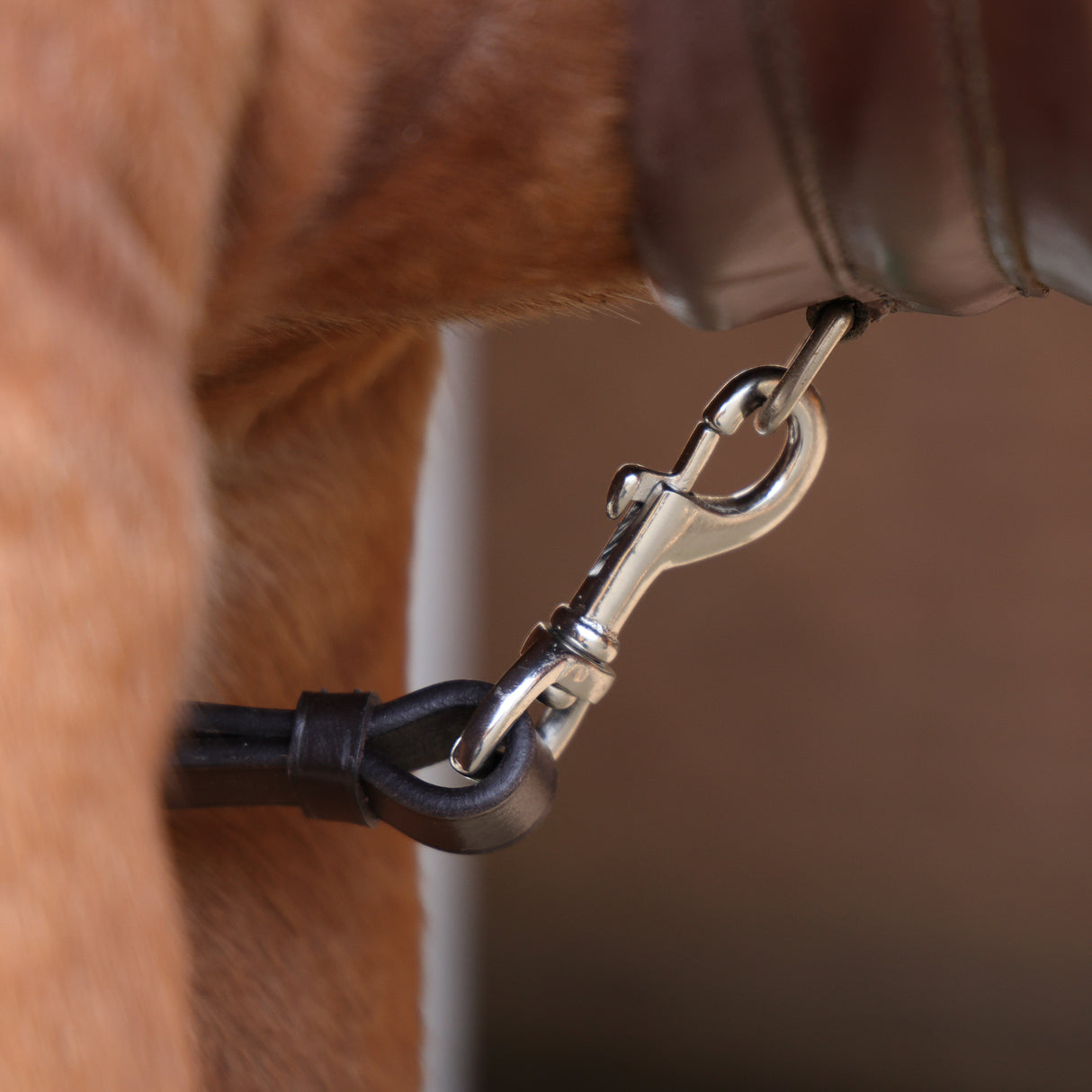 Shires Velociti Rapida Elastic Breastplate #colour_brown