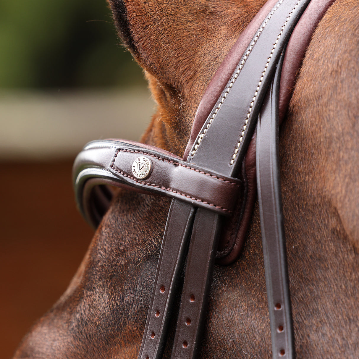 Shires Velociti LUSSO Opus 180M Ergonomic Flash Bridle #colour_havana