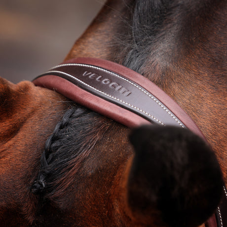 Shires Velociti LUSSO Opus 180M Dressage Flash Bridle #colour_havana