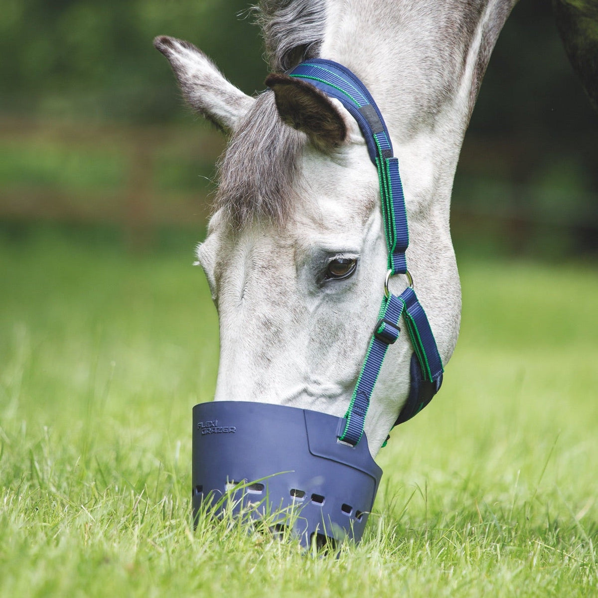 Shires FLEXI GRAZER Weidemaulkorb