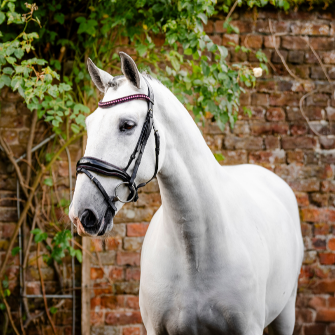 Horseware Ireland Diamante Flash Bridle #colour_black-pink