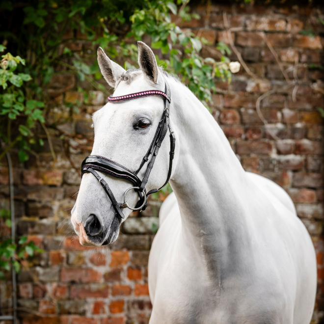 Horseware Ireland Diamante Flash Bridle #colour_black-pink