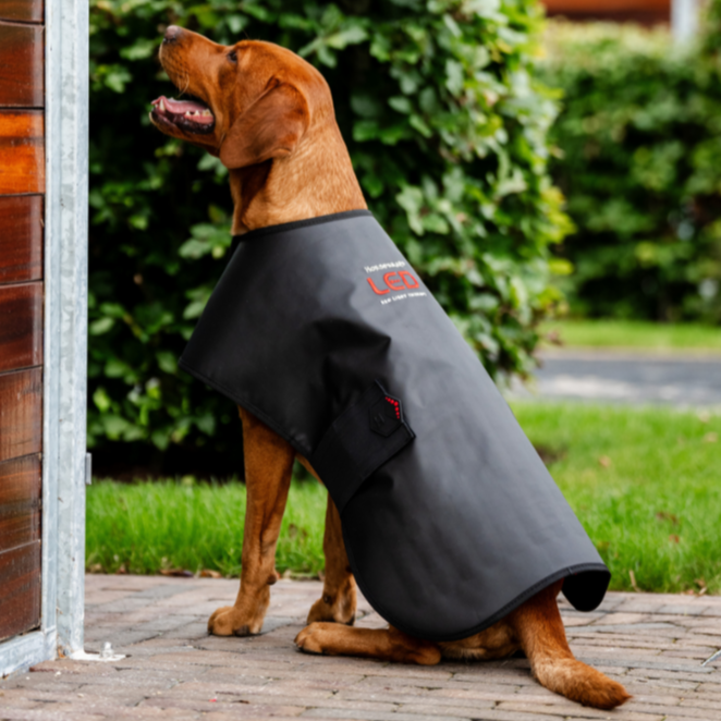 Horseware Ireland LED Red Light Therapy Pet Coat #colour_black-black