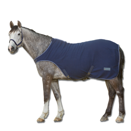 Waldhausen Economic Fleece Horse Walker Rug #colour_night-blue