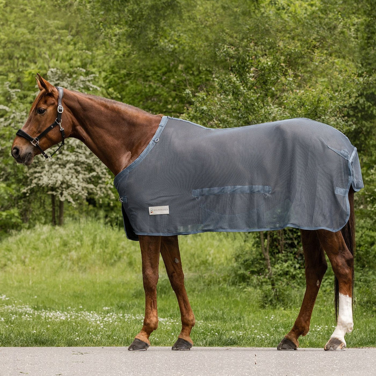 Waldhausen Comfort Fly Rug with Belly Flap #colour_chalk-blue