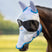 Shires FlyGuard Pro Sun Shade Fly Mask #colour_white-blue