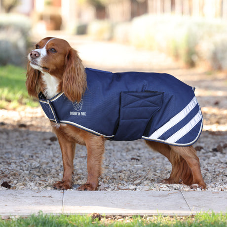 Shires Digby & Fox Waterproof Dog Coat