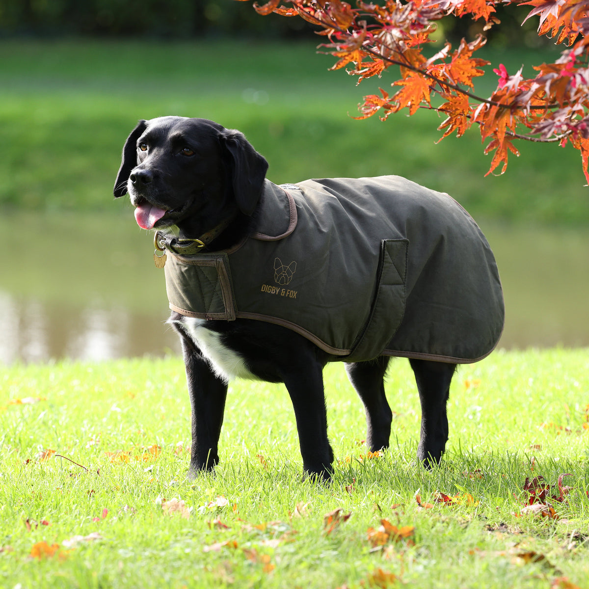 Manteau ciré Digby &amp; Fox