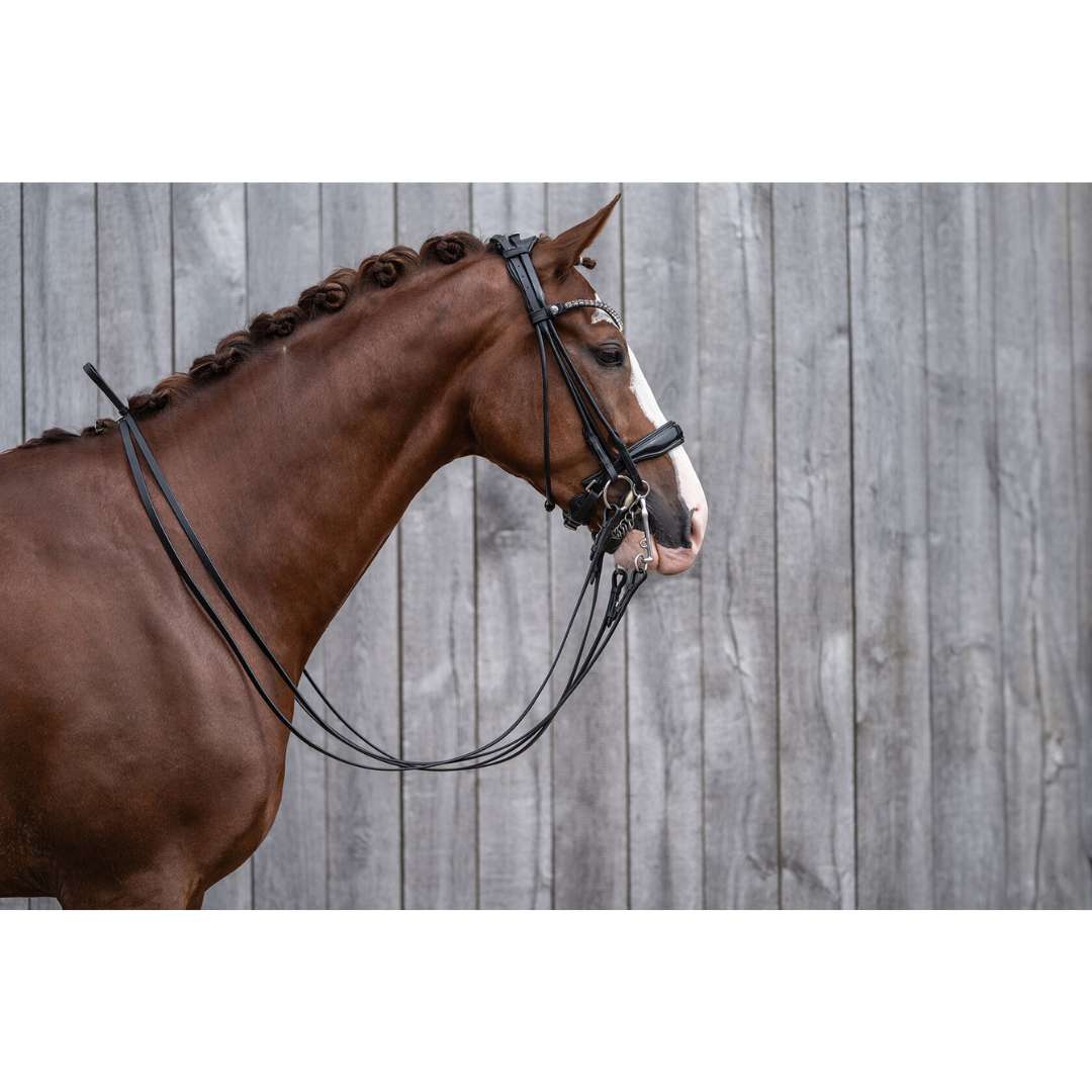 HKM Double Bridle -Kate- #colour_black