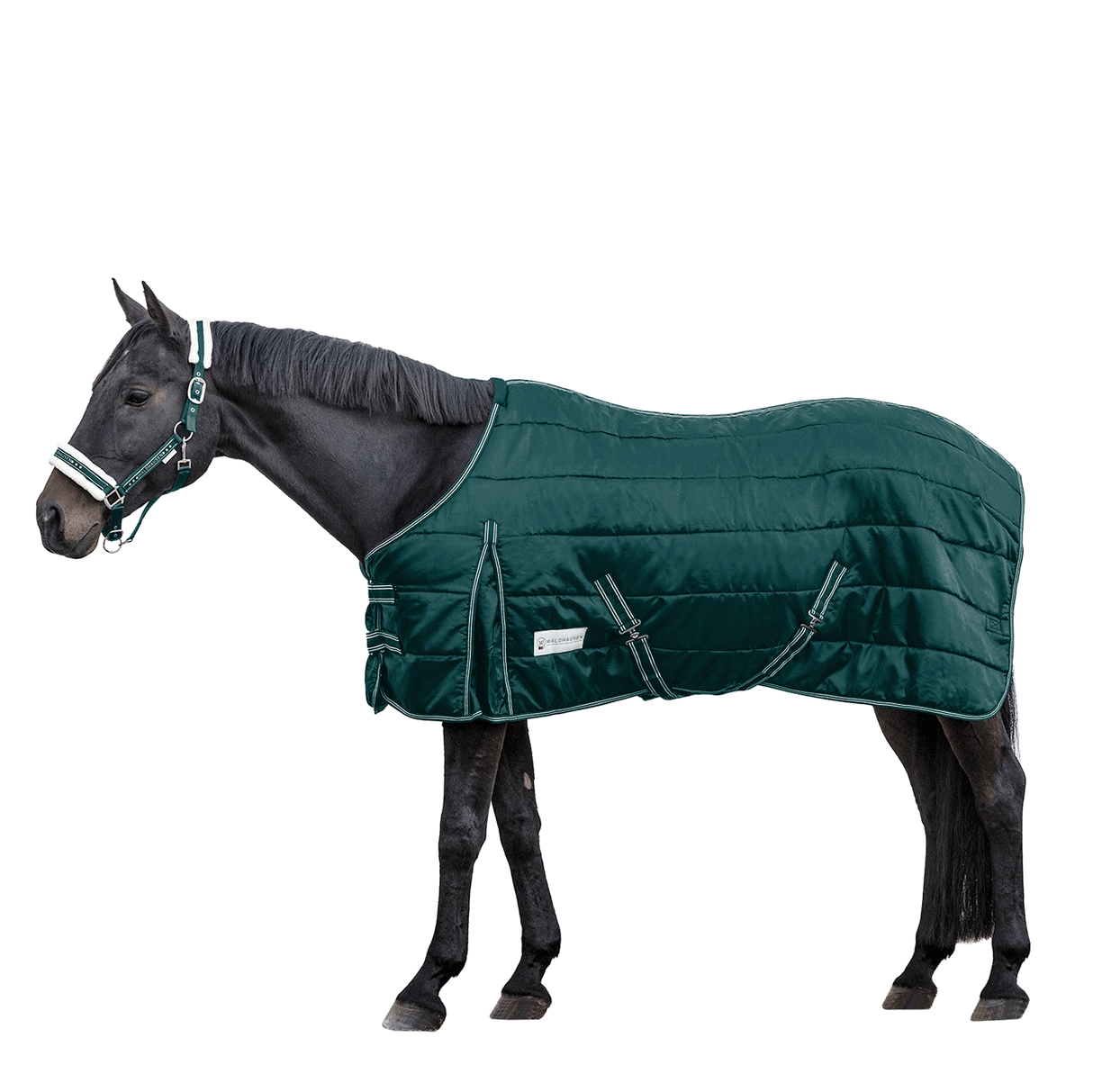 Waldhausen Economic 200g Stable Rug #colour_fir-green