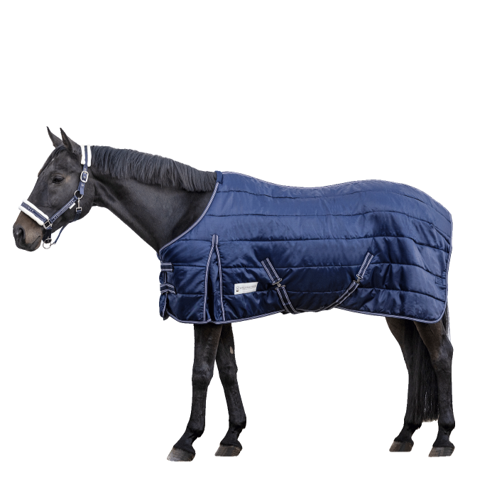 Waldhausen Economic 300g Stable Rug #colour_night-blue