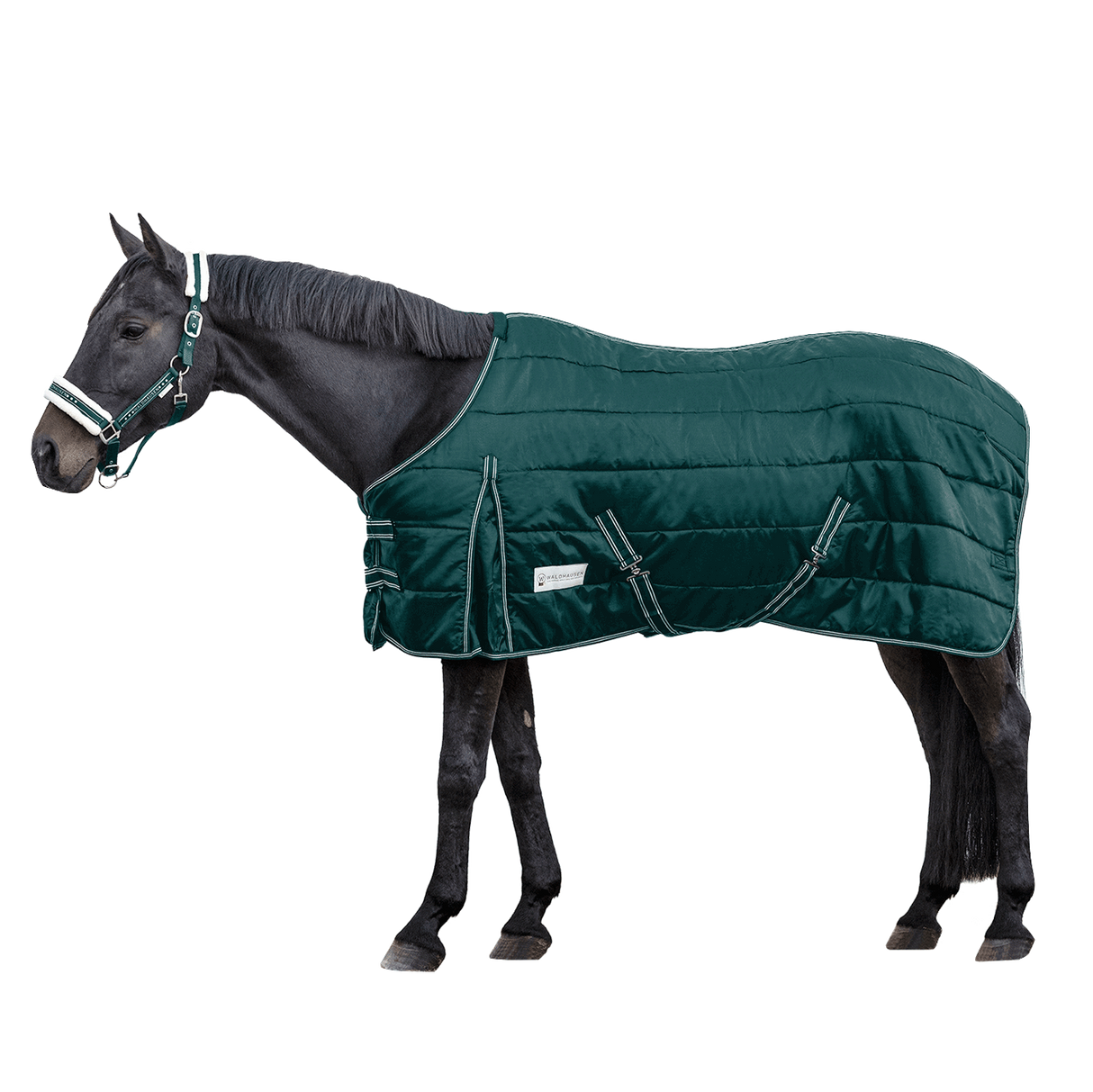 Waldhausen Economic 300g Stable Rug #colour_fir-green