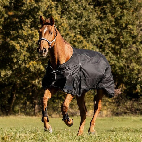 Waldhausen Scandic 50g Turnout Rug #colour_black