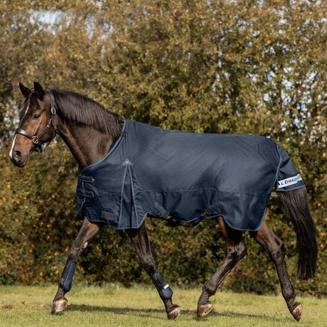 Waldhausen Arctic 300g Turnout Rug #colour_night-blue