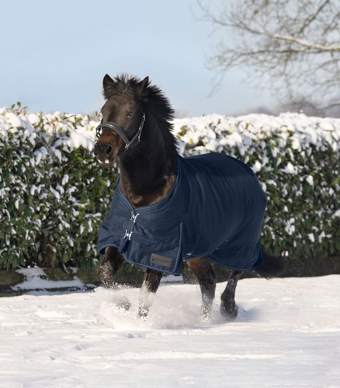 Waldhausen Nordic Light Turnout Rug #colour_night-blue