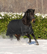 Waldhausen Nordic 100g Turnout Rug #colour_black