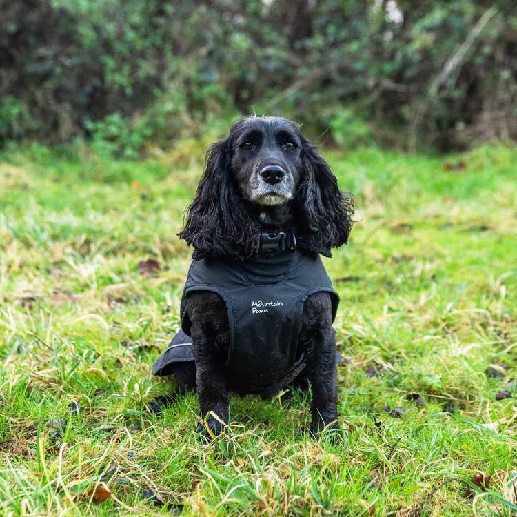 Mountain Paws Fleece Lined Dog Raincoat #colour_black