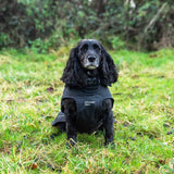 Mountain Paws Fleece Lined Dog Raincoat #colour_black