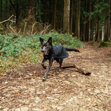 Mountain Paws Fleece Lined Dog Raincoat #colour_black