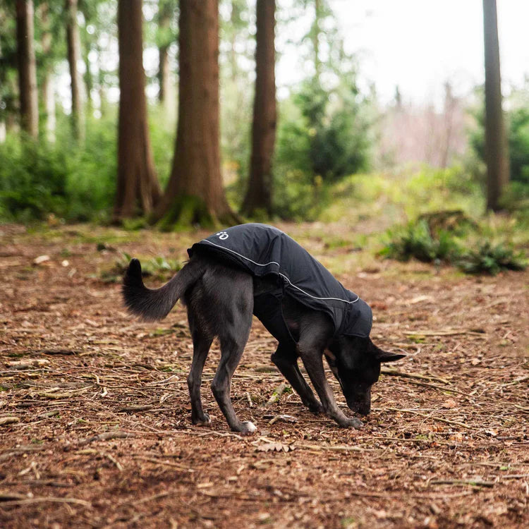 Mountain Paws Fleece Lined Dog Raincoat #colour_black