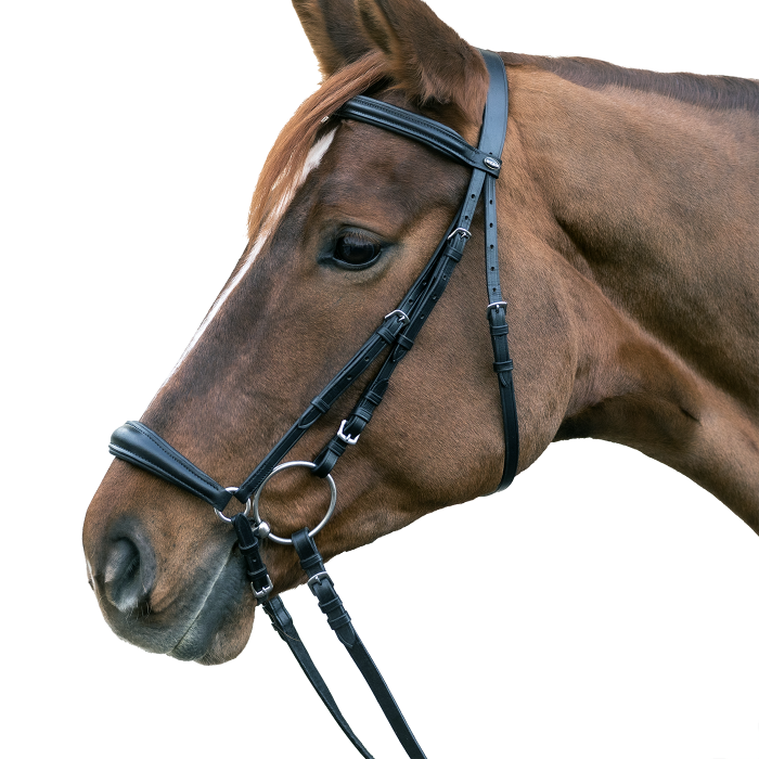 STAR Hannover Bridle #colour_black