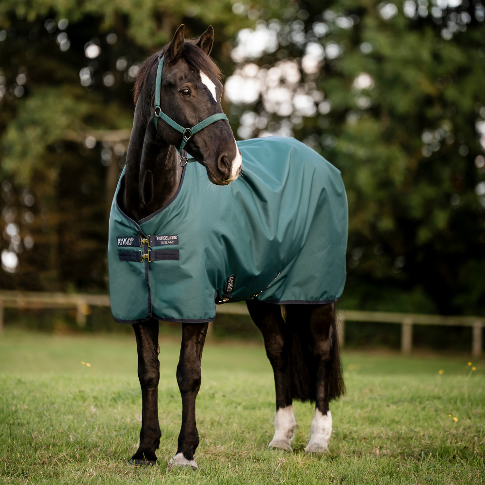 Horseware Ireland Amigo Ripstop 900 Fleece Lined 50g #colour_dynasty-green-navy-silver