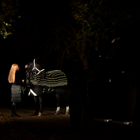 Horseware Ireland Amigo 1200D FieldSafe Reflectech Plus 100g Turnout Rug #colour_black-reflective-black