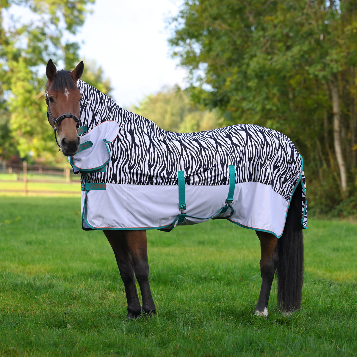 Shires Tempest Original Zeb-Tek Combi Fly Rug