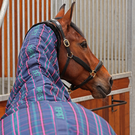 Shires Tempest Plus 100g Stable Combo #colour_navy-tartan