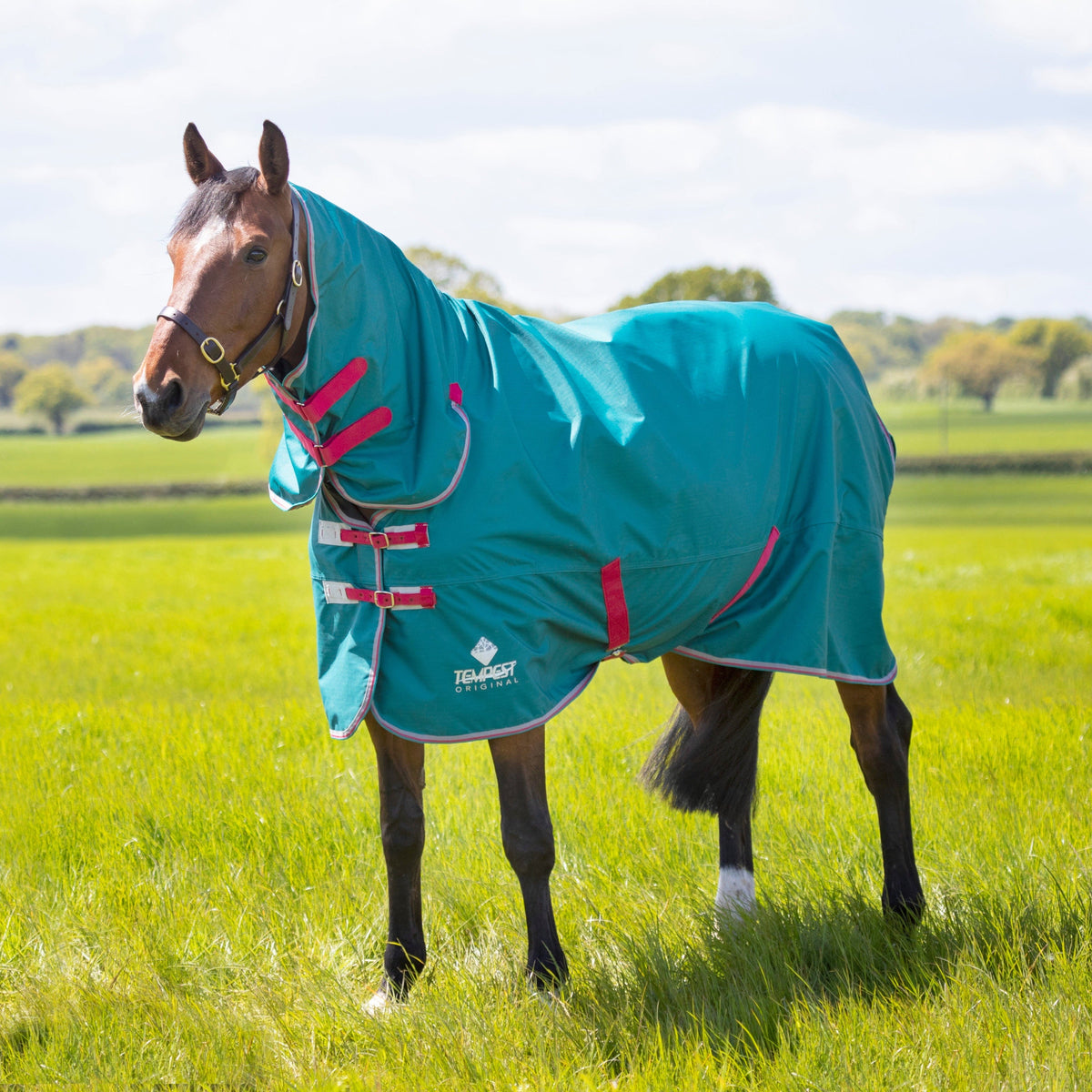 Shires Tempest Original Air Motion Kombi-Teppich