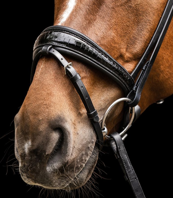 Waldhausen S-Line Bridle Magic #colour_black