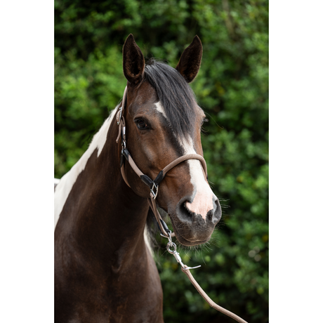 HKM Head Collar -Carlotta- #colour_taupe