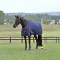 Weatherbeeta Comfitec Essential 220G Turnout #colour_navy-burgundy