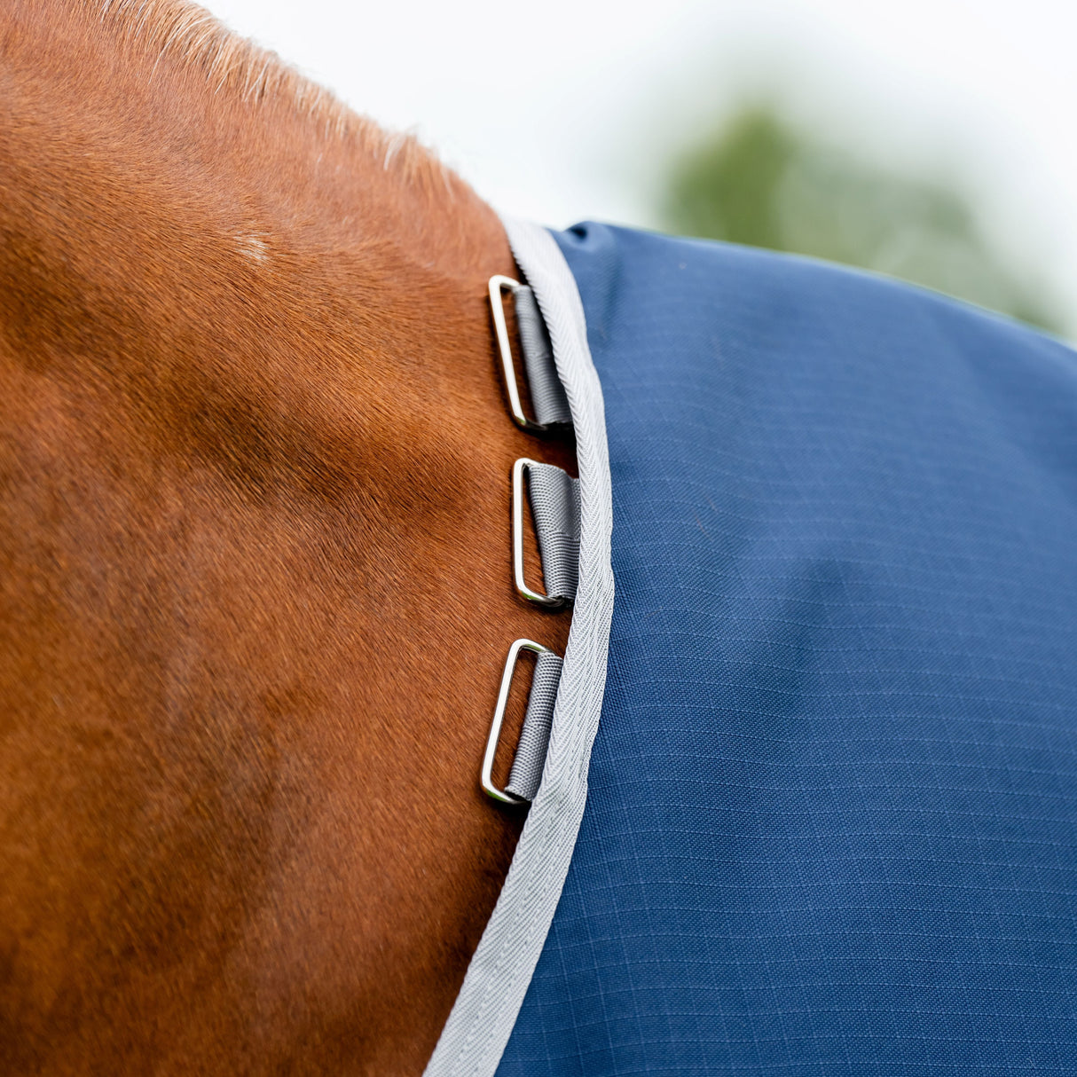 Horseware Ireland Amigo Ripstop 900D 200g Turnout Rug #colour_navy-titanium-grey