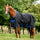 Horseware Ireland Amigo Ripstop 900 Fleece Lined 50g #colour_black-classic-blue