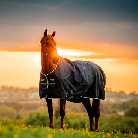 Horseware Ireland Amigo Ripstop 900 Fleece Lined 50g #colour_witney-navy