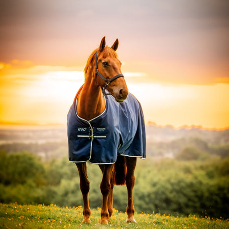 Horseware Ireland Amigo Ripstop 900 Fleece Lined 50g #colour_witney-navy