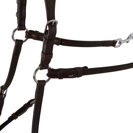 Acavallo Five-Point Breastplate Calfskin #colour_brown