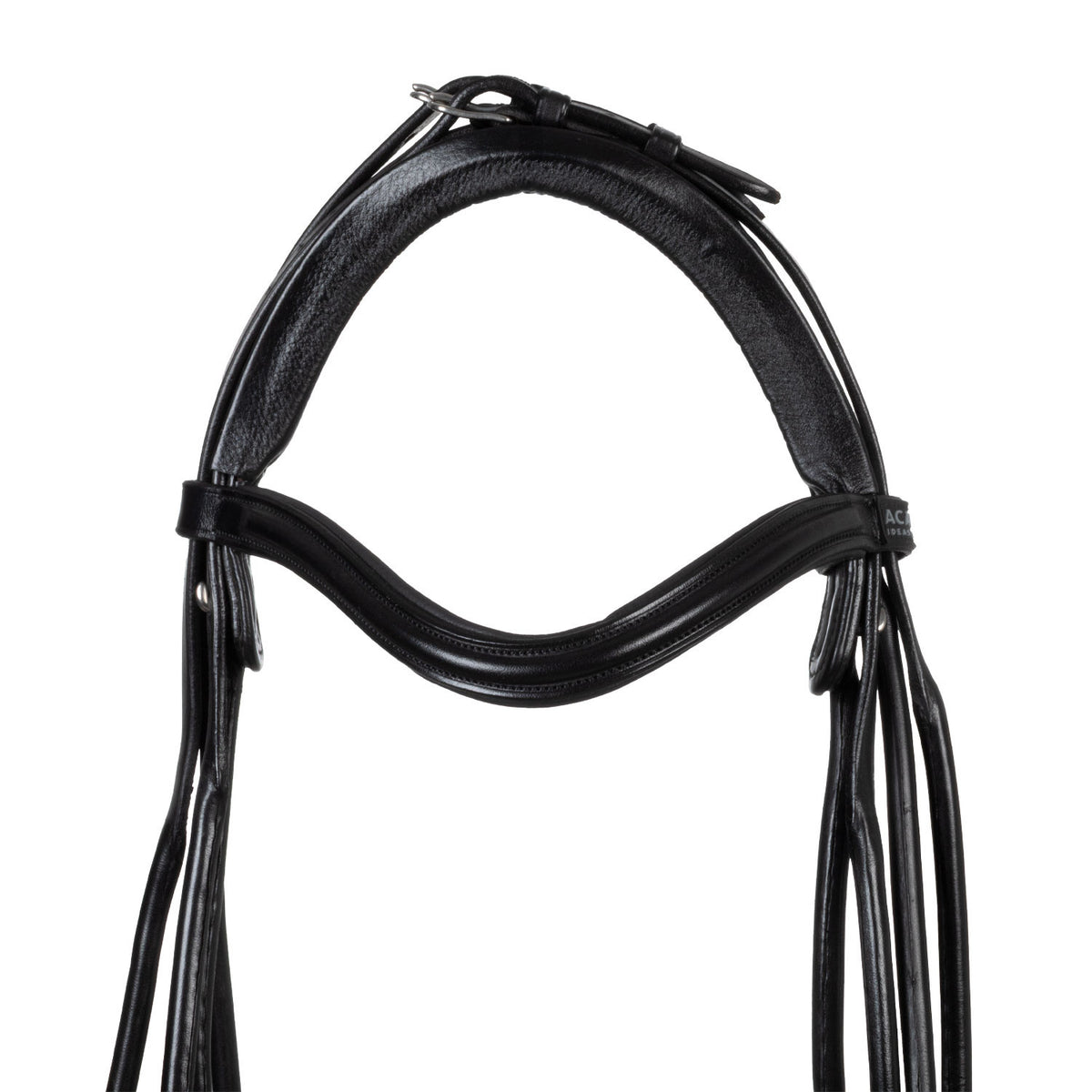 Parnaso bridle double reins