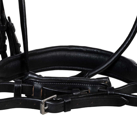 Parnaso bridle double reins