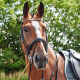 Whitaker Barton Bling Flash Bridle #colour_black