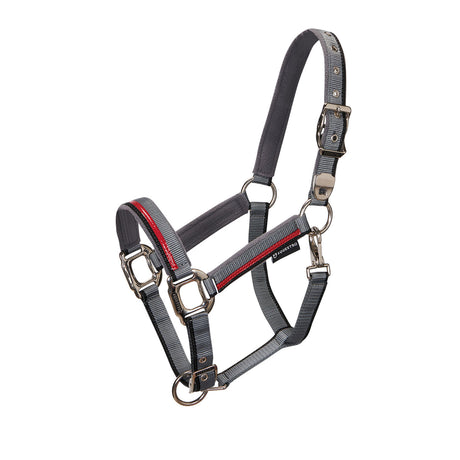 Double adjustment halter