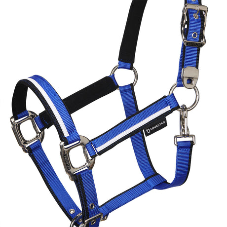 Halter with fleece padding and snap hook