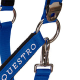 Padded double adjustment headcollar