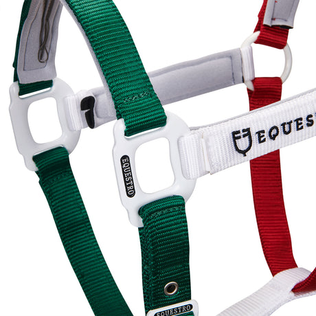 Equestro Nylon Halter With Snap Hook #colour_green