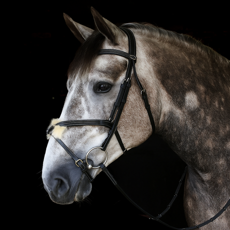 Whitaker Vienna Bridle With Reins #colour_black