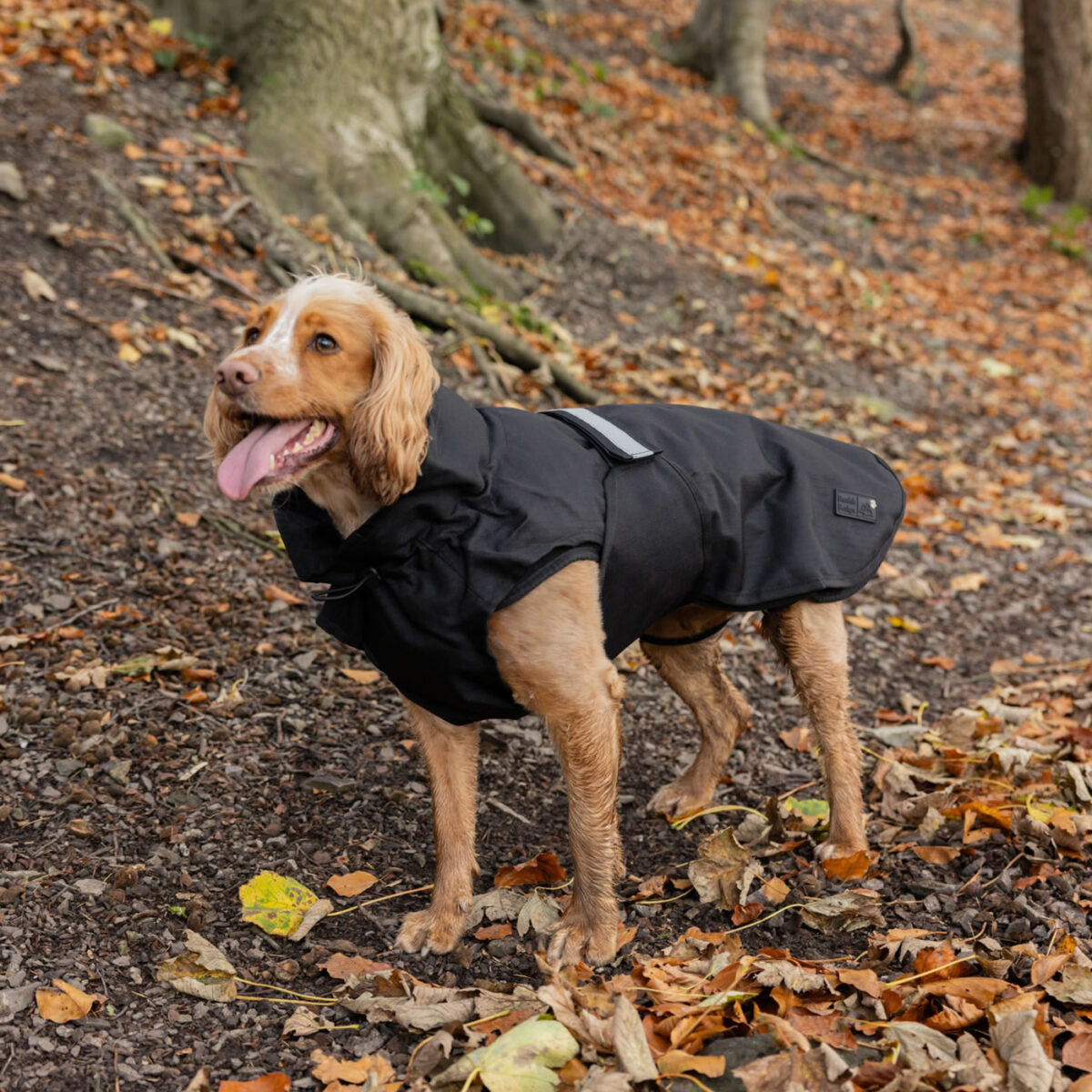 Danish Design 3-In-1 Dog Coat #colour_black