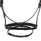 Jumping leather English bridle